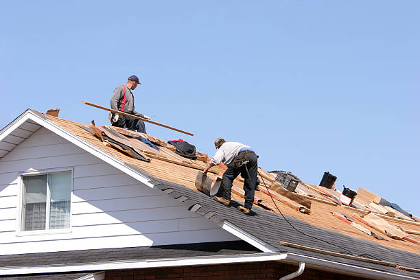 Best Skylight Installation and Repair  in Roseville, OH